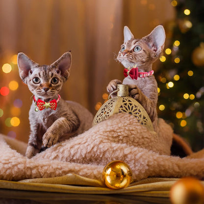 2 Pack Christmas Cat Collar with Bells Christmas Cat Bowtie 