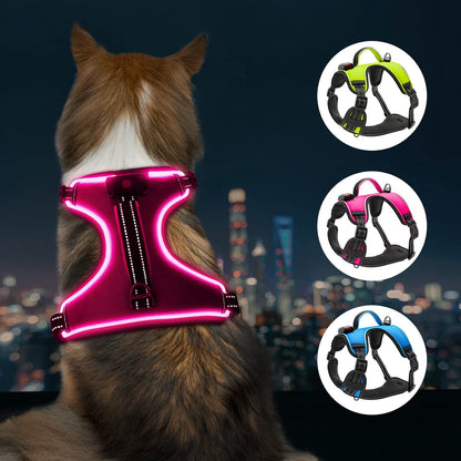 LED Dog Harness - Durable and Adjustable Reflective Light-Up Harness for Small, Medium, and Large Dogs 