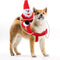 Christmas Dog Costume Funny Dog Christmas Santa Claus Costume 